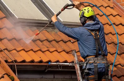 Démoussage et hydrofuge de toiture à Panon